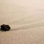 角島の砂浜
